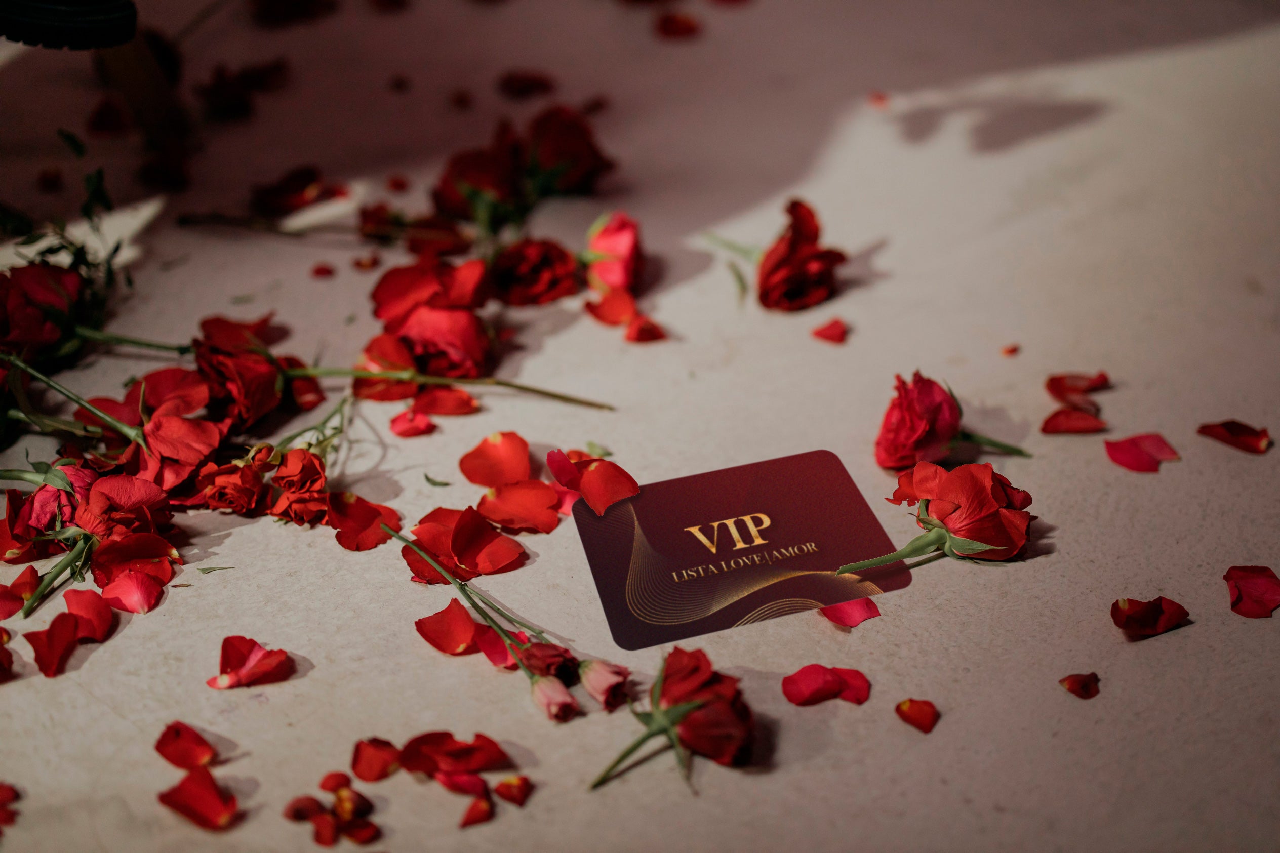 Imagen con la tarjeta VIP de la Lista LOVE|AMOR VIP de loveiamor
